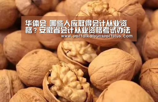 华体会_哪些人应取得会计从业资格?安徽省会计从业资格考试办法(图1) 华体会体育网页版