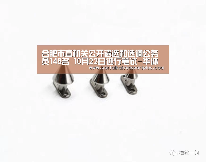 合肥市直机关公开遴选和选调公务员148名 10月22日进行笔试-华体会(图1) 华体会体育网页版