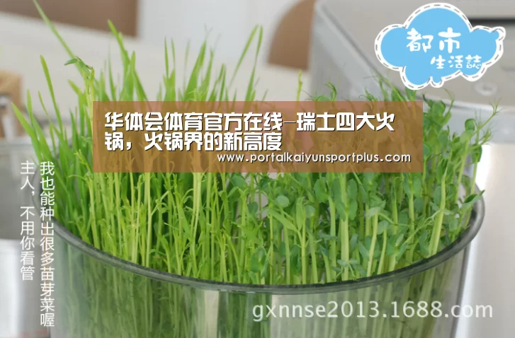 华体会体育官方在线-瑞士四大火锅，火锅界的新高度(图1)