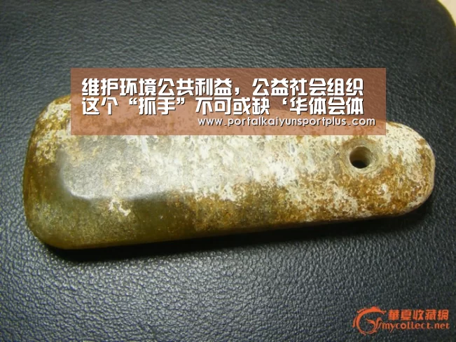 华体会